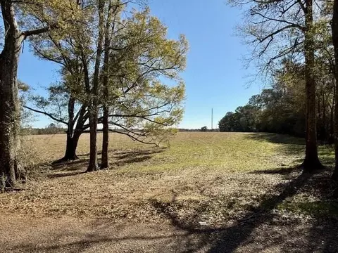 0 Silver Dr, Tylertown, MS 39667