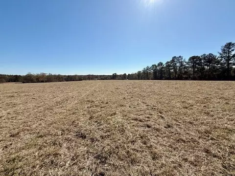 0 Silver Dr, Tylertown, MS 39667 photo 17