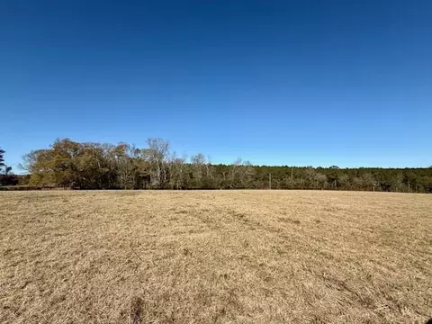 0 Silver Dr, Tylertown, MS 39667 photo 14