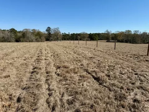 0 Silver Dr, Tylertown, MS 39667 photo 26
