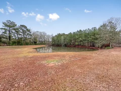 1007 Sunrise Ln, Summit, MS 39666 photo 12