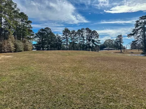 1045 Barrett Dr, Summit, MS 39666 photo 19