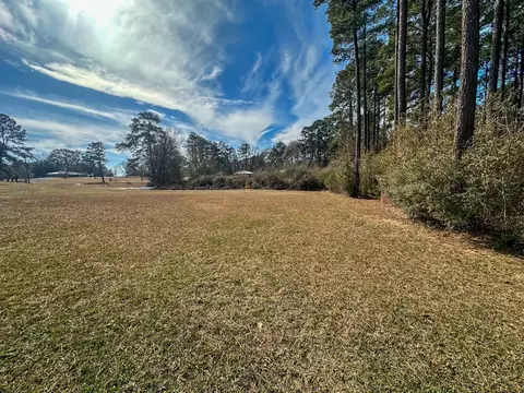 1045 Barrett Dr, Summit, MS 39666 photo 21