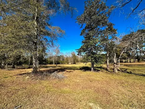 tbd Hershal Grady H Way, Summit, MS 39666 photo 6