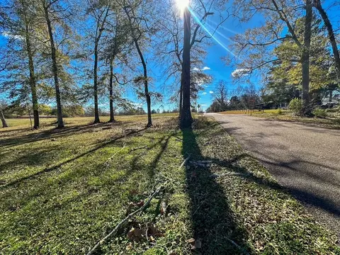 tbd Hershal Grady H Way, Summit, MS 39666 photo 4