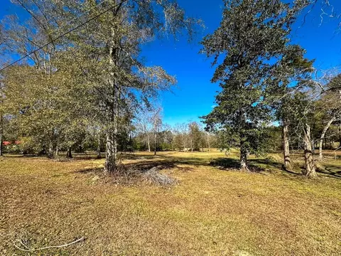 tbd Hershal Grady H Way, Summit, MS 39666 photo 3