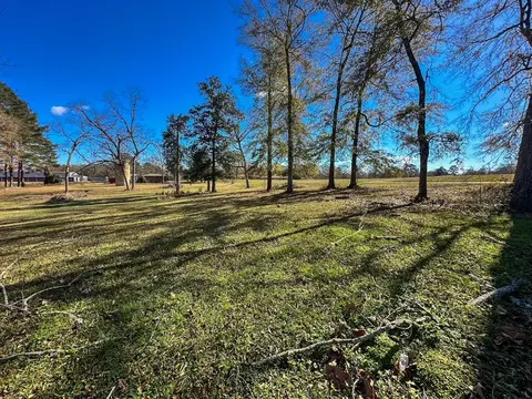tbd Hershal Grady H Way, Summit, MS 39666 photo 5
