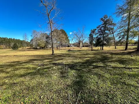 tbd Hershal Grady H Way, Summit, MS 39666 photo 7