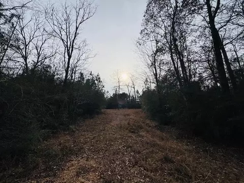 tbd Ed Taylor Rd, Tylertown, MS 39667 photo 5