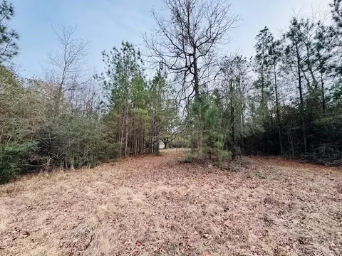 tbd Ed Taylor Rd, Tylertown, MS 39667 photo 8