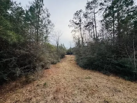 tbd Ed Taylor Rd, Tylertown, MS 39667 photo 4