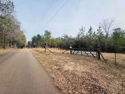 tbd Ed Taylor Rd, Tylertown, MS 39667 photo 27