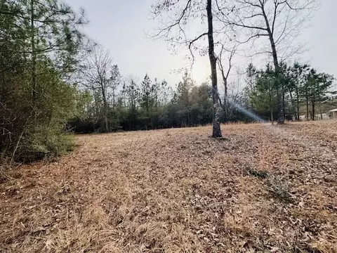 tbd Ed Taylor Rd, Tylertown, MS 39667 photo 6
