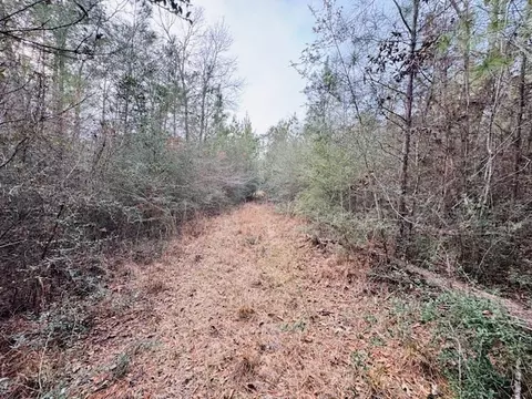 tbd Ed Taylor Rd, Tylertown, MS 39667 photo 20