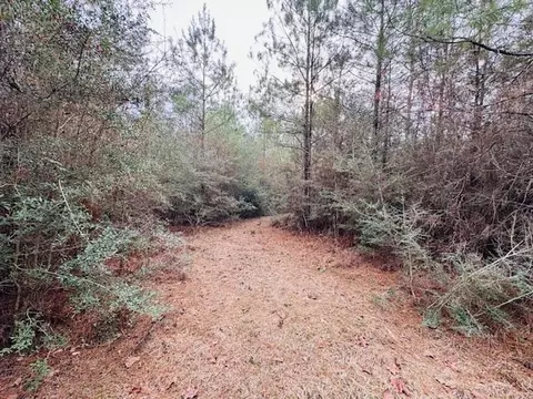 tbd Ed Taylor Rd, Tylertown, MS 39667 photo 19