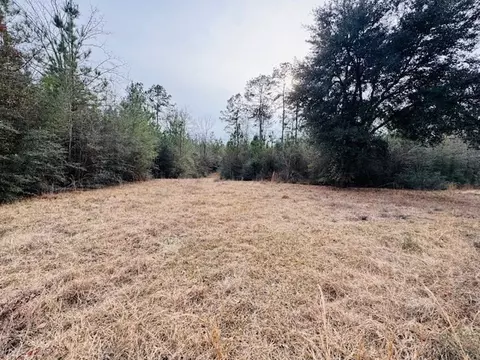 tbd Ed Taylor Rd, Tylertown, MS 39667 photo 2
