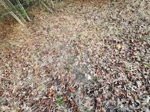 tbd Ed Taylor Rd, Tylertown, MS 39667 photo 13