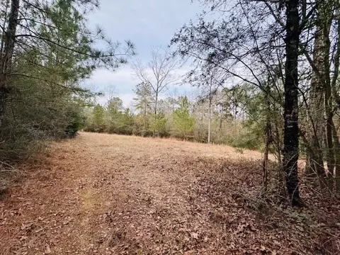 tbd Ed Taylor Rd, Tylertown, MS 39667 photo 23