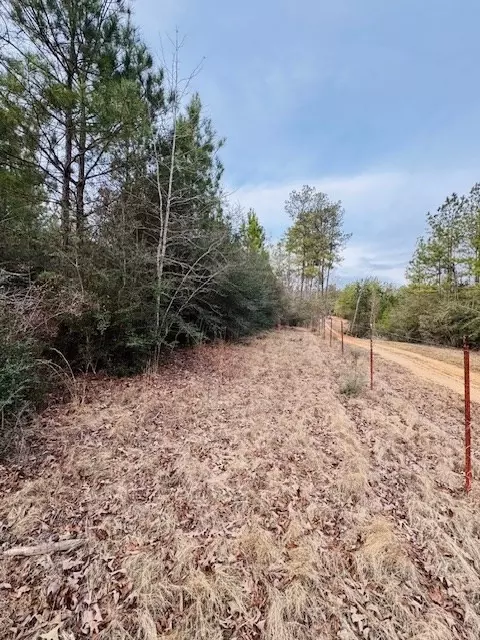 tbd Ed Taylor Rd, Tylertown, MS 39667 photo 16