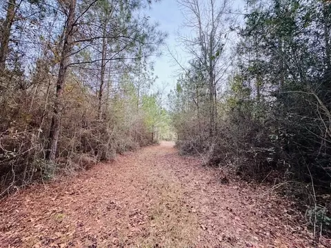 tbd Ed Taylor Rd, Tylertown, MS 39667 photo 14
