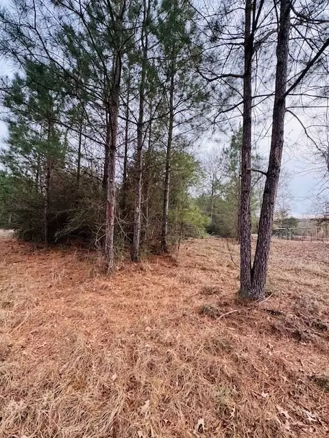 tbd Ed Taylor Rd, Tylertown, MS 39667 photo 25