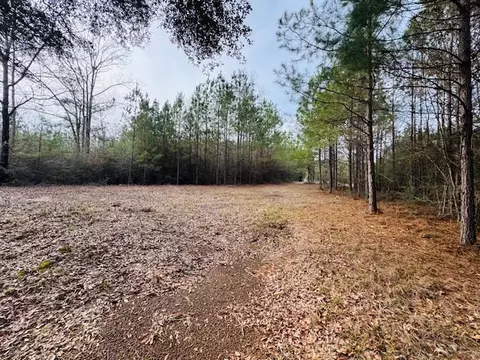 tbd Ed Taylor Rd, Tylertown, MS 39667 photo 12