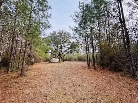 tbd Ed Taylor Rd, Tylertown, MS 39667 photo 9