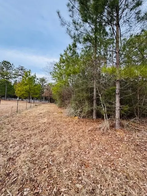 tbd Ed Taylor Rd, Tylertown, MS 39667 photo 26