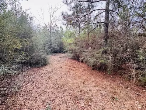 tbd Ed Taylor Rd, Tylertown, MS 39667 photo 18