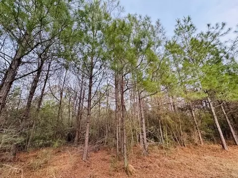 tbd Ed Taylor Rd, Tylertown, MS 39667 photo 10