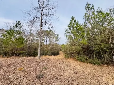 tbd Ed Taylor Rd, Tylertown, MS 39667 photo 7