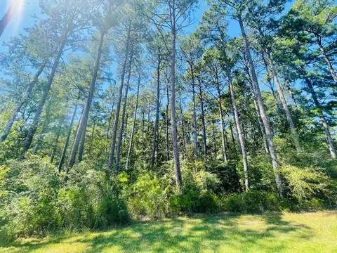 Nnn Homesville Road Sw, Bogue Chitto, MS 39629