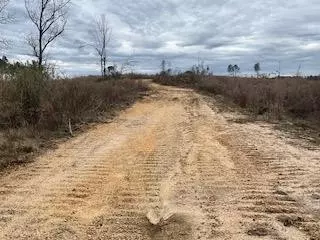 00 Garrett Rd, Silver Creek, MS 39663
