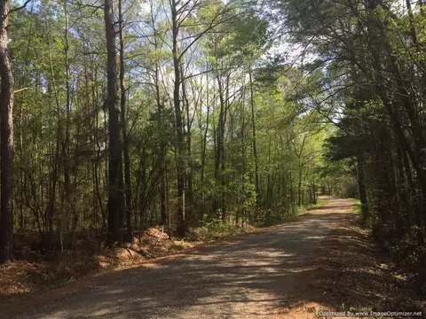 25 Sauls Rd, Ruth, MS 39662 photo 2