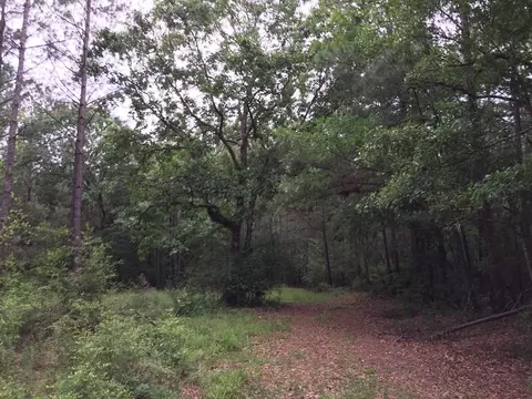 25 Sauls Rd, Ruth, MS 39662 photo 10