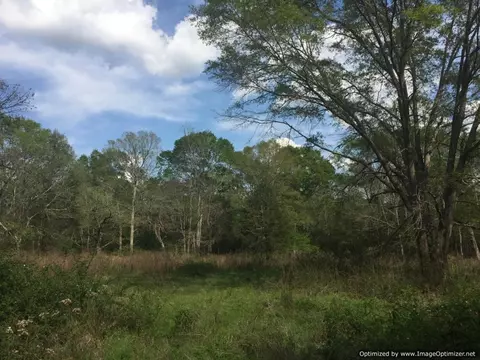 25 Sauls Rd, Ruth, MS 39662 photo 3