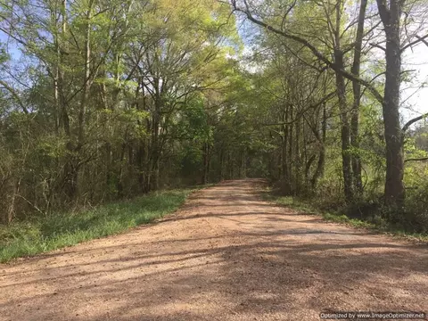 25 Sauls Rd, Ruth, MS 39662 photo 7