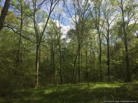 25 Sauls Rd, Ruth, MS 39662 photo 13