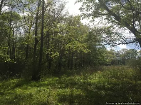 25 Sauls Rd, Ruth, MS 39662 photo 14