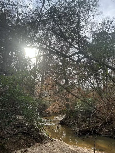 000 Mose Hilliard Rd, Sontag, MS 39191