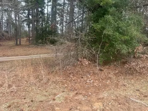 1004 Moore St, Wesson, MS 39191 photo 9