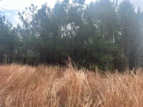 1004 Moore St, Wesson, MS 39191 photo 7