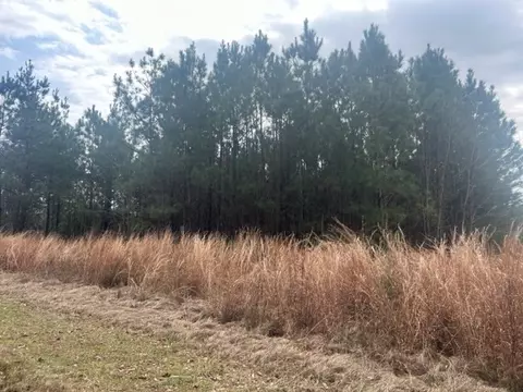 1004 Moore St, Wesson, MS 39191 photo 3
