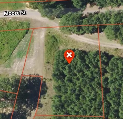 1004 Moore St, Wesson, MS 39191 photo 1