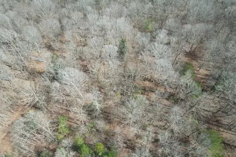 tbd Imperial Ln SW, Brookhaven, MS 39601 photo 15