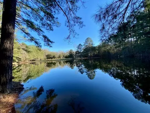 View/Area - 6113 Womack Rd, Summit, MS 39666 photo 1 of 5