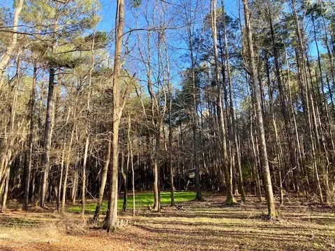 Exterior - 6113 Womack Rd, Summit, MS 39666 photo 17 of 29