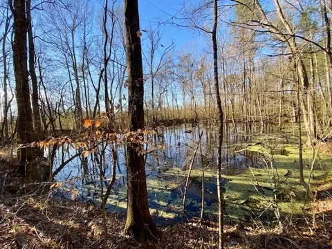 View/Area - 6113 Womack Rd, Summit, MS 39666 photo 4 of 5