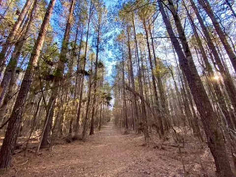 Other - 6113 Womack Rd, Summit, MS 39666 photo 6 of 8