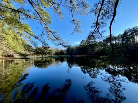 View/Area - 6113 Womack Rd, Summit, MS 39666 photo 2 of 5